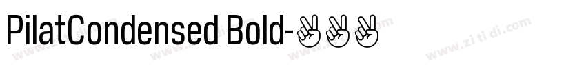 PilatCondensed Bold字体转换